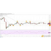 关于莱特币信托公司史志强的信息