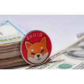 2024柴犬币三年后价格最新推测