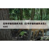 比特币骗局最新消息（比特币骗局最新消息2020）