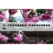 下一个牛市会暴涨的币（牛市所有的币都会涨吗）