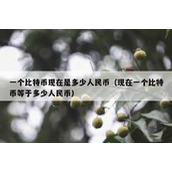 一个比特币现在是多少人民币（现在一个比特币等于多少人民币）