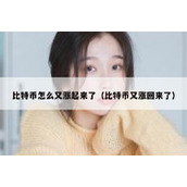 比特币怎么又涨起来了（比特币又涨回来了）