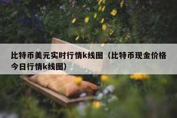 比特币美元实时行情k线图（比特币现金价格今日行情k线图） 第1张