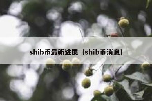 shib币最新进展（shib币消息） 第1张