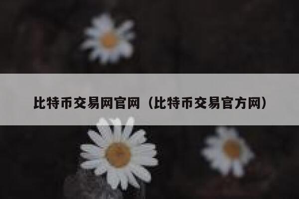 比特币交易网官网（比特币交易官方网） 第1张