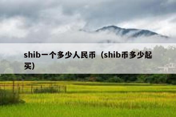 shib一个多少人民币（shib币多少起买） 第1张