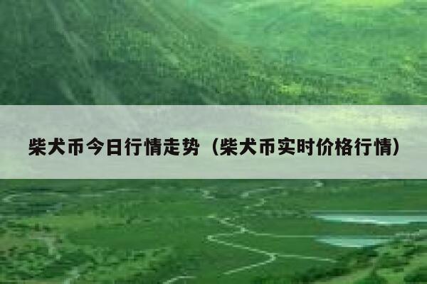 柴犬币今日行情走势（柴犬币实时价格行情） 第1张