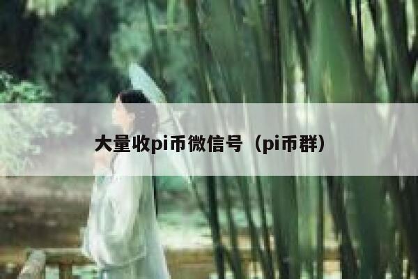 大量收pi币微信号（pi币群） 第1张