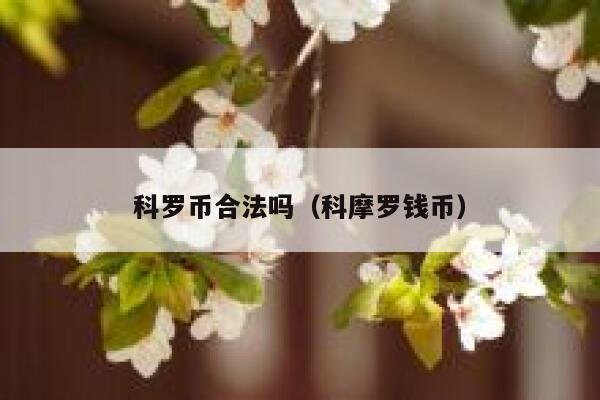 科罗币合法吗（科摩罗钱币） 第1张