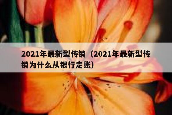 2021年最新型传销（2021年最新型传销为什么从银行走账） 第1张