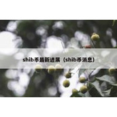 shib币最新进展（shib币消息）