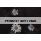 比特币交易网官网（比特币交易官方网）