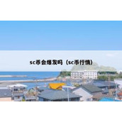 sc币会爆发吗（sc币行情）