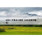 shib一个多少人民币（shib币多少起买）