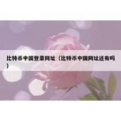 比特币中国登录网址（比特币中国网址还有吗）