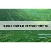 柴犬币今日行情走势（柴犬币实时价格行情）
