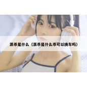 派币是什么（派币是什么币可以换车吗）