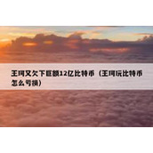 王珂又欠下巨额12亿比特币（王珂玩比特币怎么亏损）
