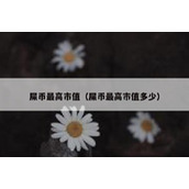 屎币最高市值（屎币最高市值多少）