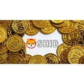 屎币能涨到1美元吗