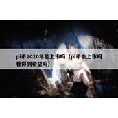 pi币2020年能上市吗（pi币会上市吗看得到希望吗）