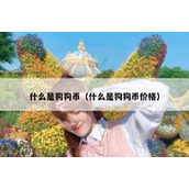 什么是狗狗币（什么是狗狗币价格）