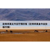 比特币美元今日行情价格（比特币美金今日价格行情）