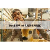 什么是派币（什么是派币浏览器）
