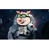 pig币涨了多少倍
