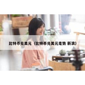 比特币兑美元（比特币兑美元走势 新浪）