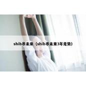 shib币未来（shib币未来3年走势）