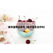 屎币值得投资吗（屎币是主流币吗）