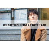 比特币是干嘛的（比特币是干嘛的有什么用）