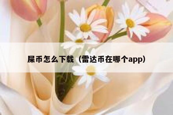 屎币怎么下载（雷达币在哪个app） 第1张