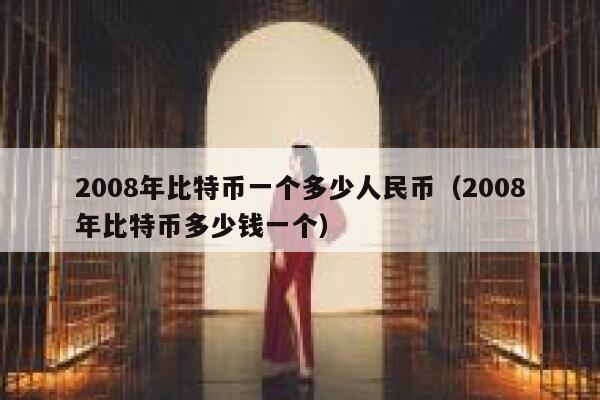 2008年比特币一个多少人民币（2008年比特币多少钱一个） 第1张