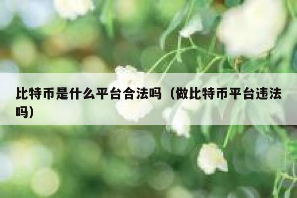 比特币是什么平台合法吗（做比特币平台违法吗） 第1张