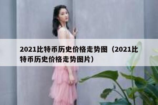 2021比特币历史价格走势图（2021比特币历史价格走势图片） 第1张