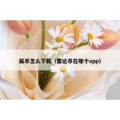 屎币怎么下载（雷达币在哪个app）