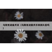 马斯克说柴犬币（马斯克说柴犬币带到火星吗）