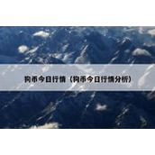 狗币今日行情（狗币今日行情分析）
