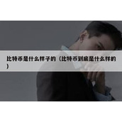 比特币是什么样子的（比特币到底是什么样的）