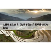 比特币怎么交易（比特币怎么交易币透明实时监控）