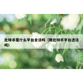 比特币是什么平台合法吗（做比特币平台违法吗）