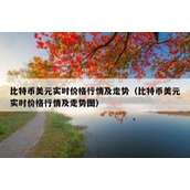 比特币美元实时价格行情及走势（比特币美元实时价格行情及走势图）