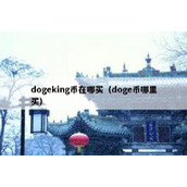 dogeking币在哪买（doge币哪里买）