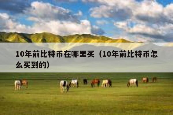 10年前比特币在哪里买（10年前比特币怎么买到的） 第1张