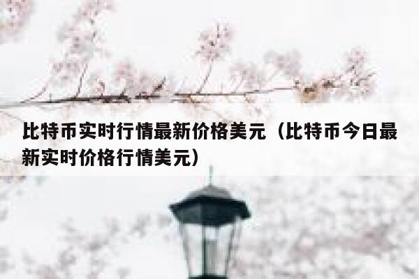 比特币实时行情最新价格美元（比特币今日最新实时价格行情美元） 第1张