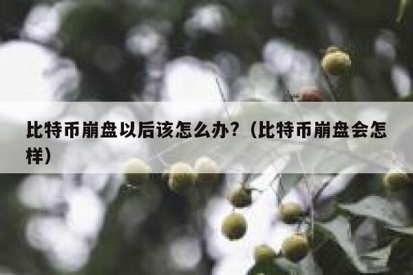 比特币崩盘以后该怎么办?（比特币崩盘会怎样） 第1张