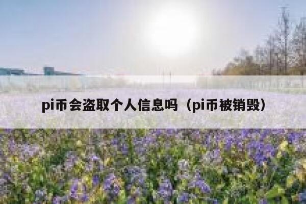 pi币会盗取个人信息吗（pi币被销毁） 第1张