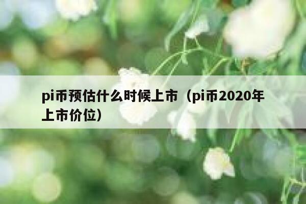 pi币预估什么时候上市（pi币2020年上市价位） 第1张